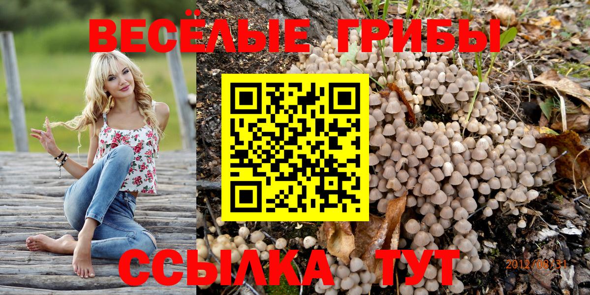 Псилоцибиновые грибы GOLDEN TEACHER Углич